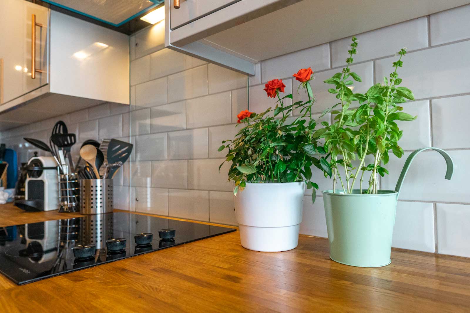 Kitchen with two pants on the counter top in pots, vibrant green and red colors.
